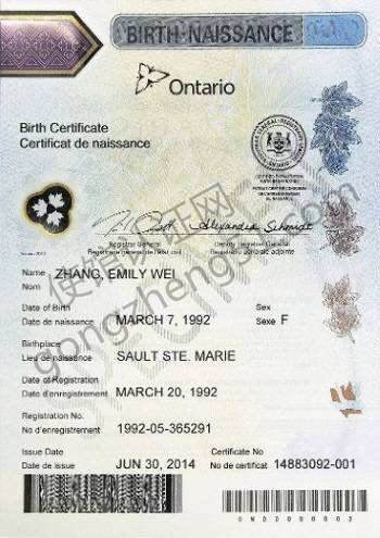 加拿大出生纸公证书模版