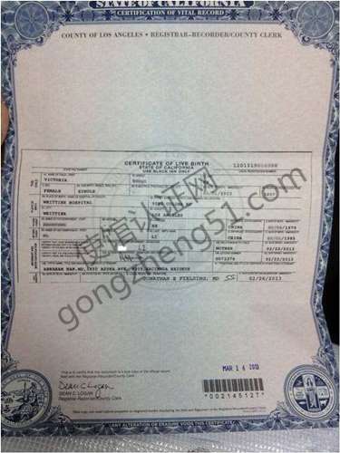 新加坡出生纸公证书模版